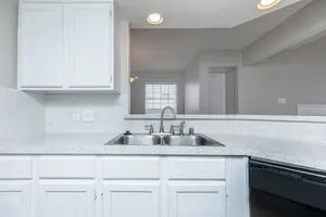 Plano Park Townhomes - Photo 27 of 53